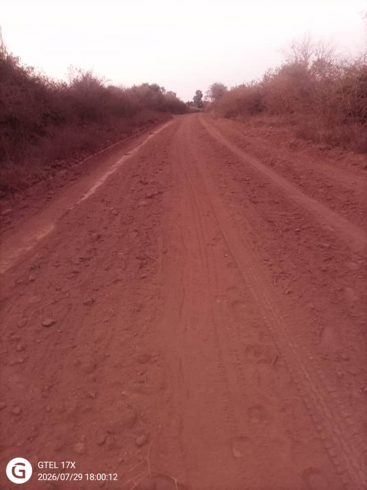 Ward 18 road after maintenance showing a wider graded and smoother surface